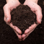 畑の土を柔らかくする方法