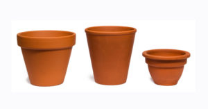 鉢・テラコッタ