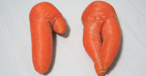 人参が股割れになる原因