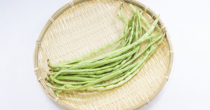 ササゲの収穫時期