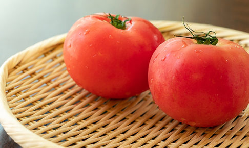 トマト収穫時期の見極め方は？