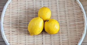 レモンの収穫について