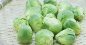 芽キャベツの収穫方法