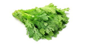 春菊の追肥（追肥のやり方・時期・回数量）