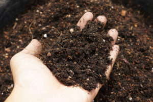 堆肥の種類・使い方・効果は？